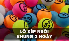 Nuôi lô kép khung