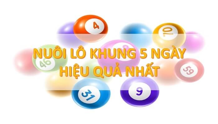 lô khung vip bảo hùng