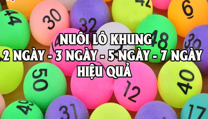 lô khung phong vũ