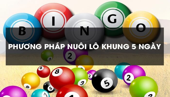 Lô khung Phong Vũ – Cách nuôi lô khung hiệu quả nhất 2025