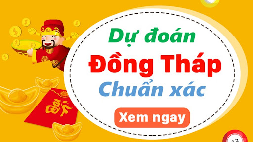 soi cầu đồng tháp
