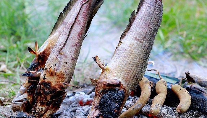 Cá lóc số mấy trong lô đề – Giải mã giấc mơ thấy cá lóc 2025